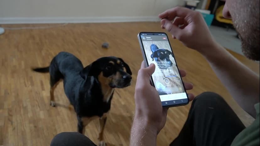 8AM: AI-Human Co-Training