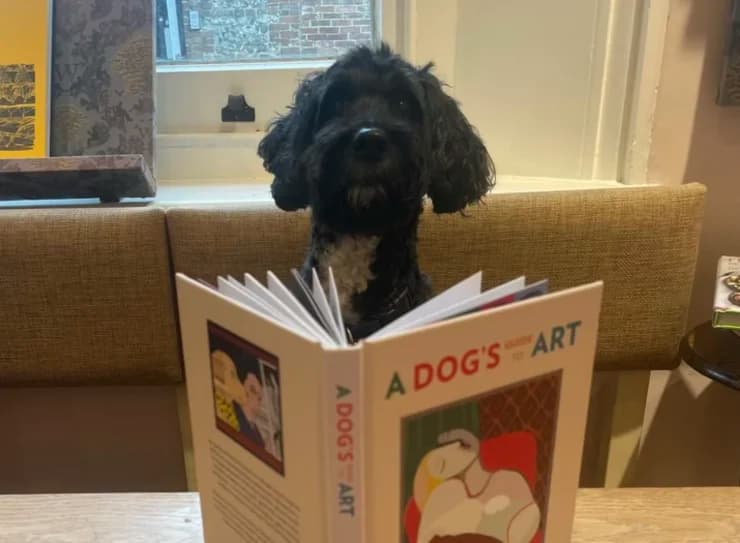 9AM - 5PM: AI Mentor