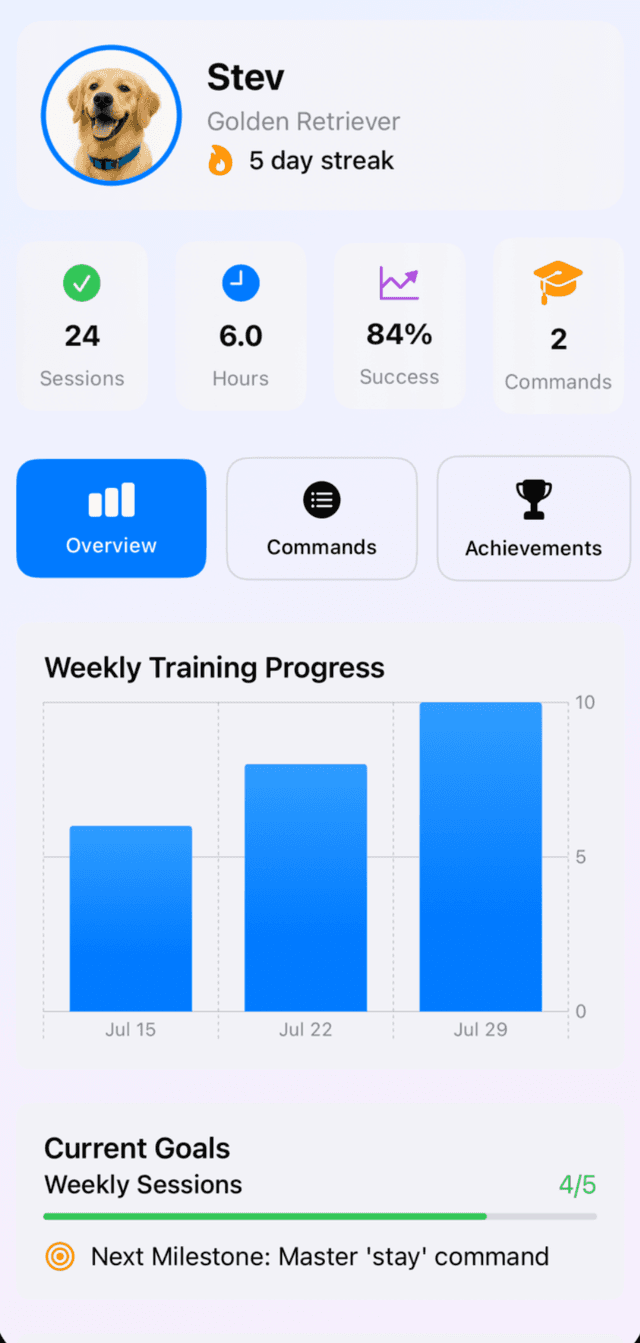 Advanced Progress Tracking